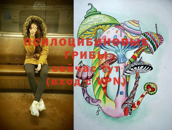 спайс Киреевск